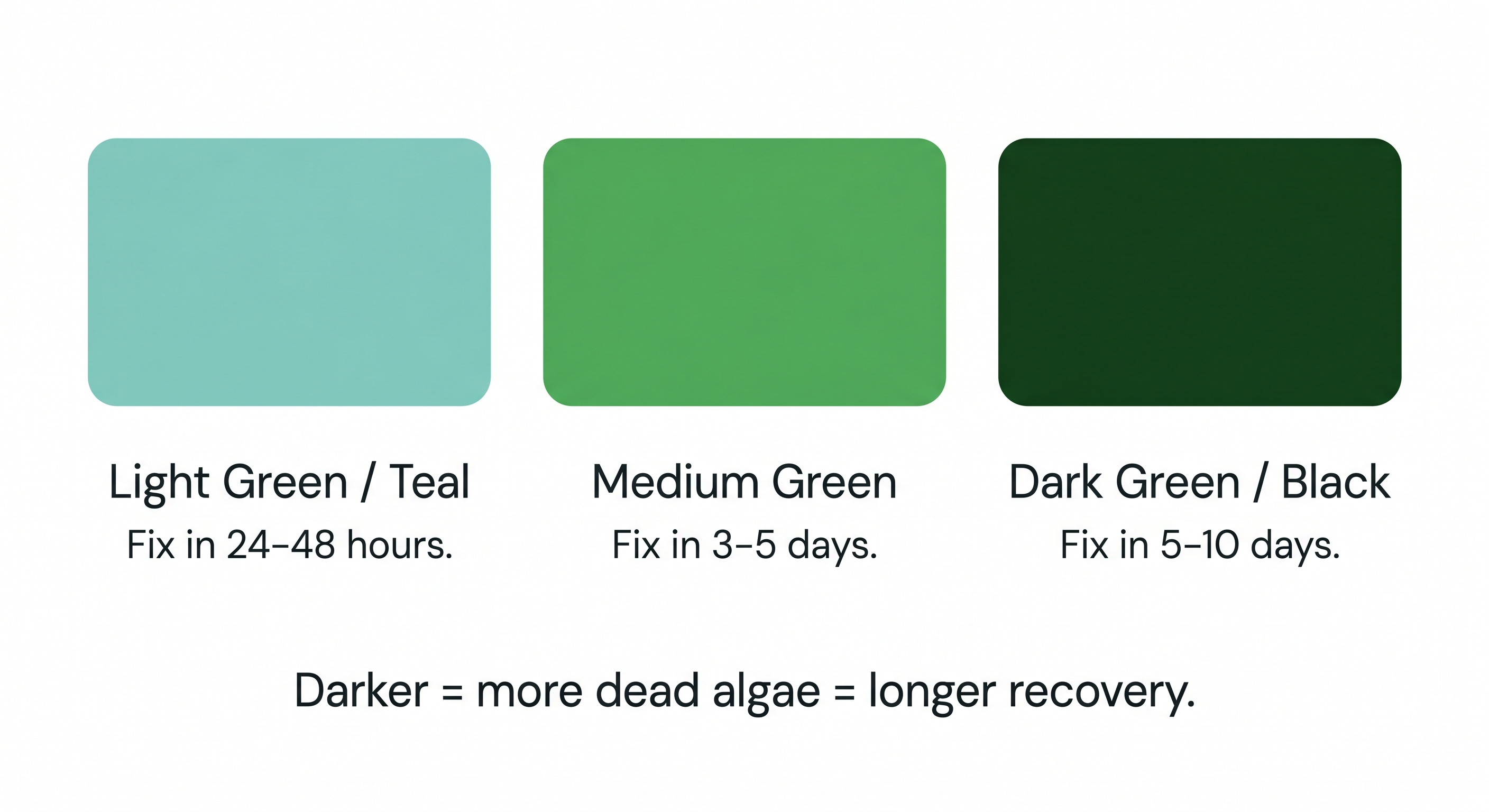 Three color swatches showing pool algae severity from light green teal to dark green with estimated treatment times for each